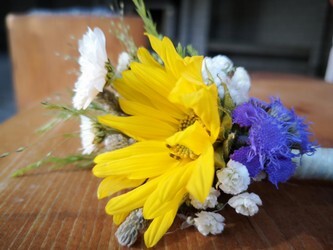 #hochzeit ansteckblume bräutigam sonnenblume und blau.jpeg